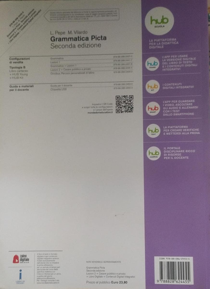 GRAMMATICA PICTA - foto 2