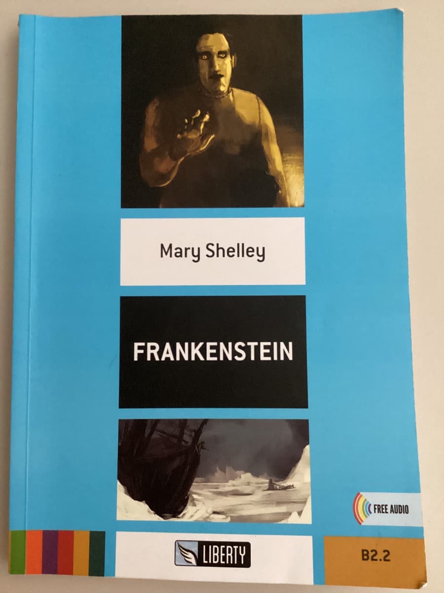 FRANKENSTEIN - foto 1