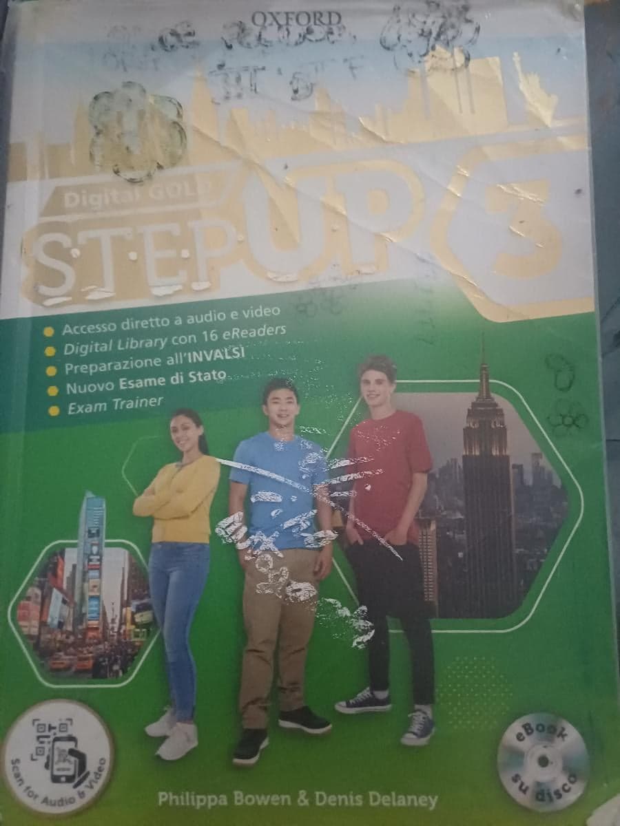 STEP UP 3 DIGITAL GOLD - foto 1