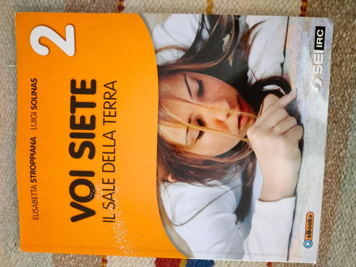 VOI SIETE IL SALE DELLA TERRA 2 - foto 1