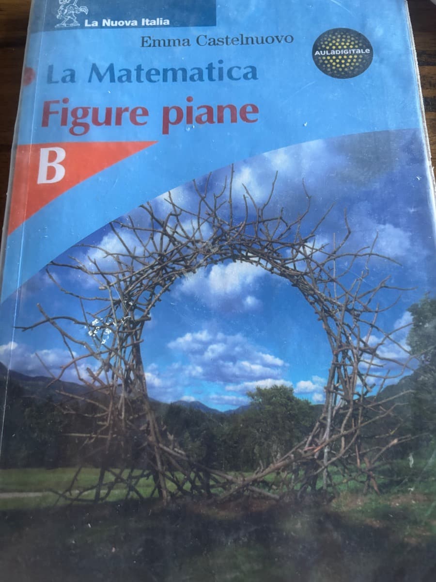 La Matematica figure piane B - foto 1