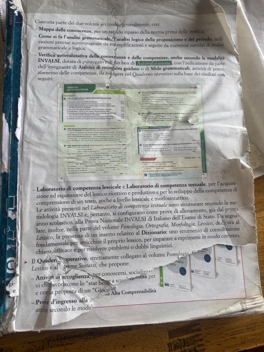 Punto per punto fonologia , ortografia, morfologia , lessico - foto 1