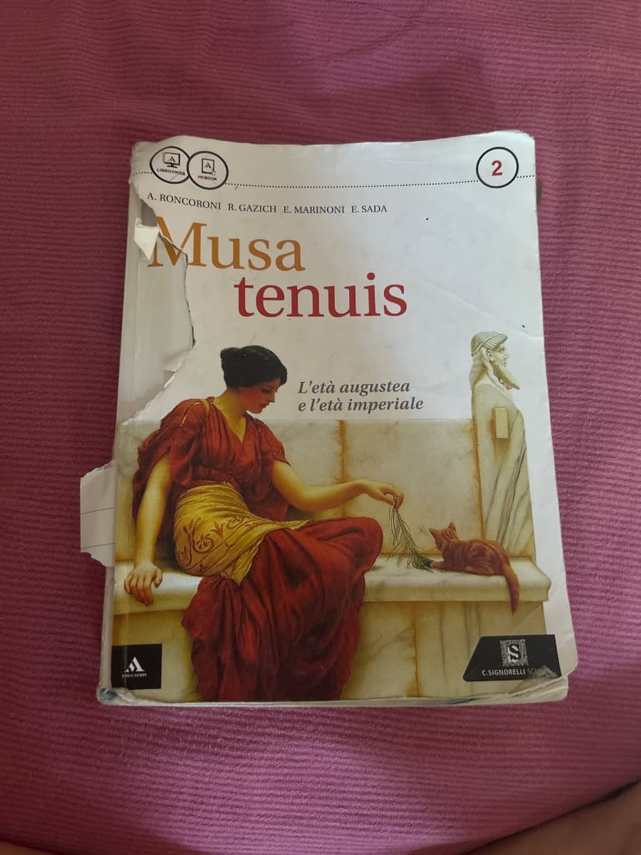 MUSA TENUIS - foto 1