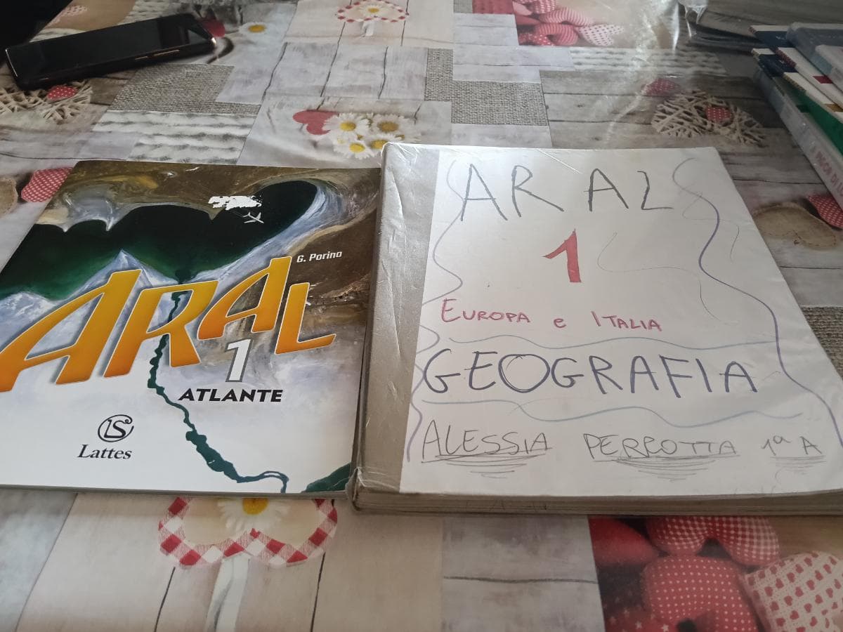 ARAL - foto 1
