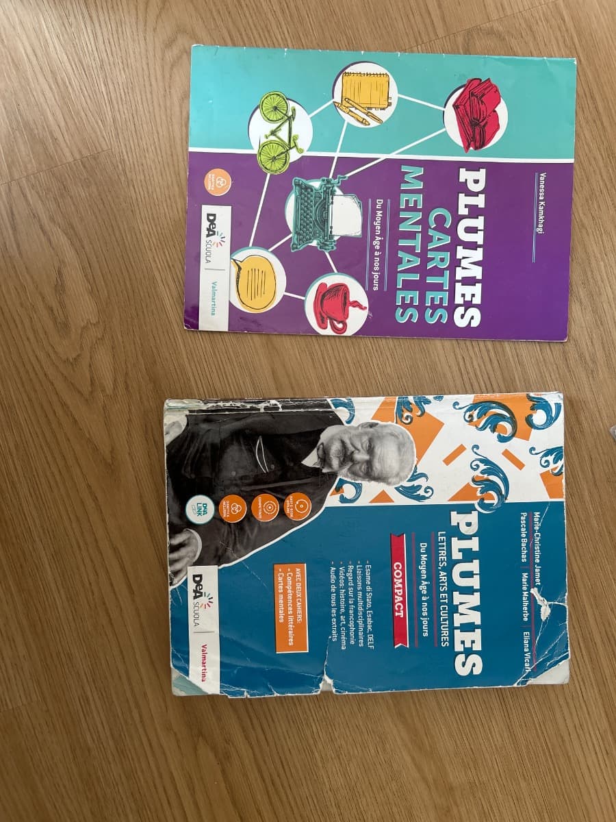 PLUMES COMPACT + COMPÉTENCES LITTÉRAIRES + CARTES MENTALES + EBOOK - foto 1