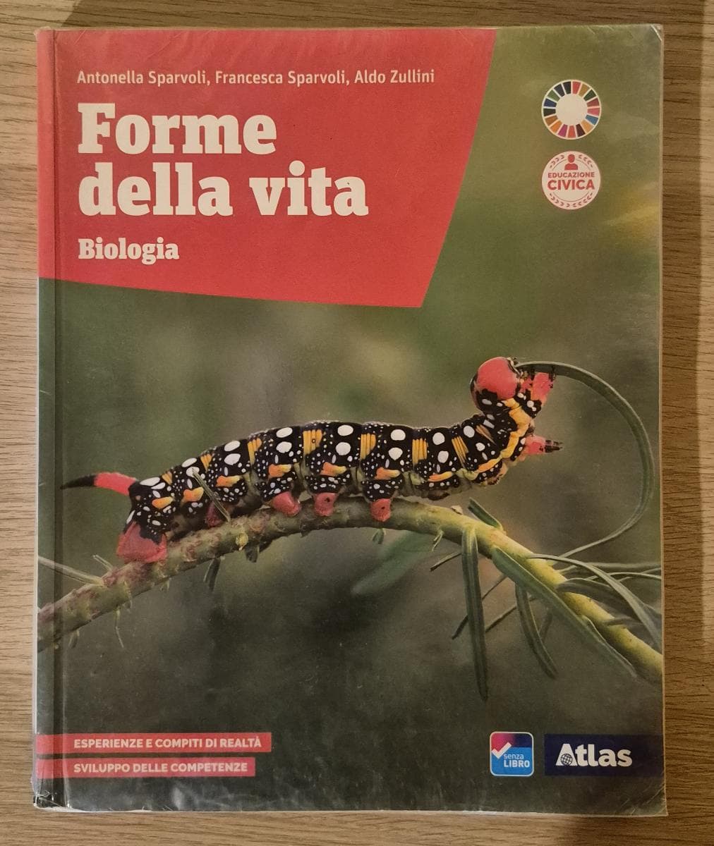 FORME DELLA VITA - foto 1