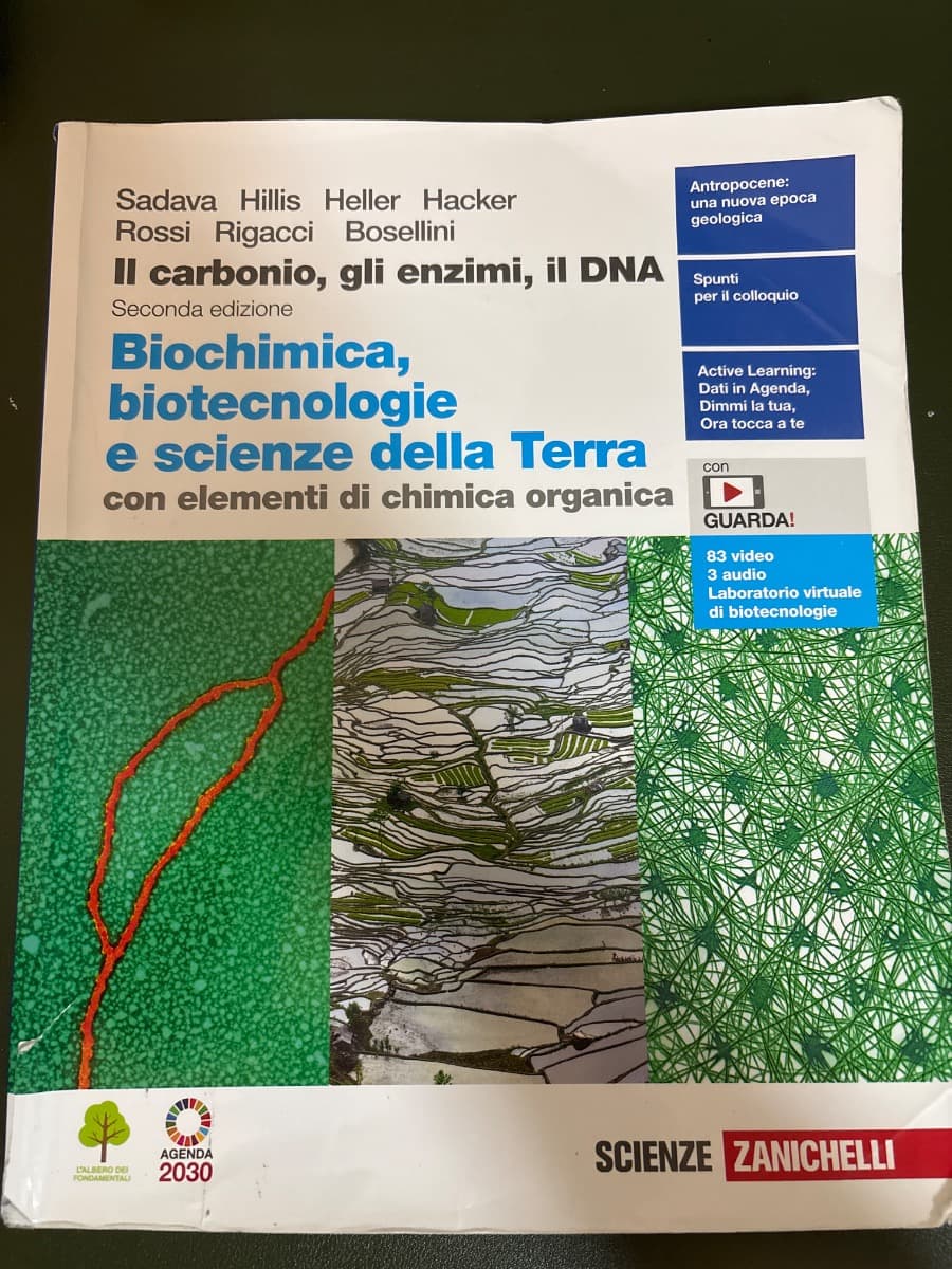 CARBONIO, GLI ENZIMI, IL DNA 2ED. (IL). CON SCIENZE TERRA (LDM) - foto 1