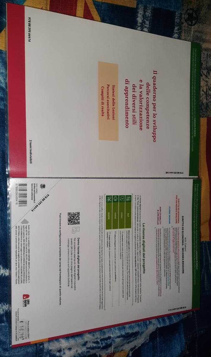 DIRITTO ED ECONOMIA SECONDA EDIZIONE 2 - foto 2