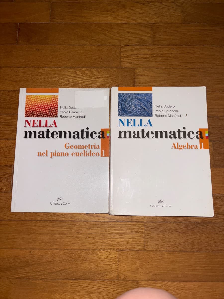 Nella matematica algebra + geometria nel piano euclideo - foto 1