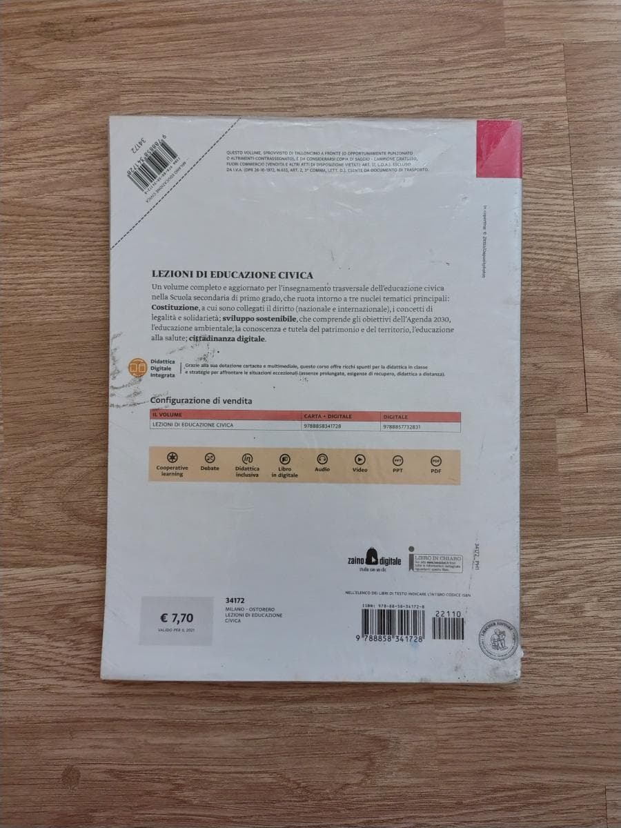 LEZIONI DI EDUCAZIONE CIVICA - foto 2