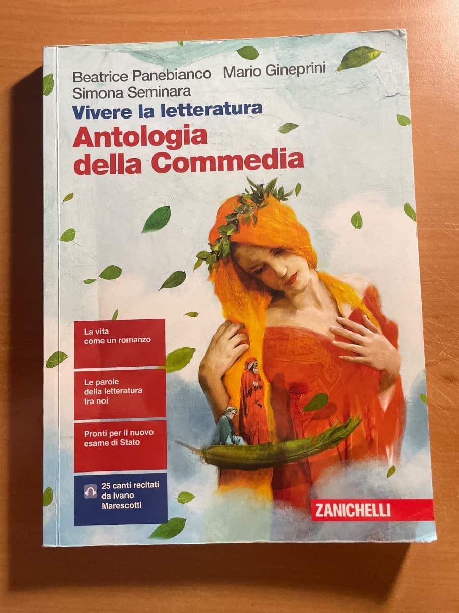 VIVERE LA LETTERATURA PLUS - CONF. VOL. 1 + ANTOLOGIA DELLA COMMEDIA (LDM) - foto 1