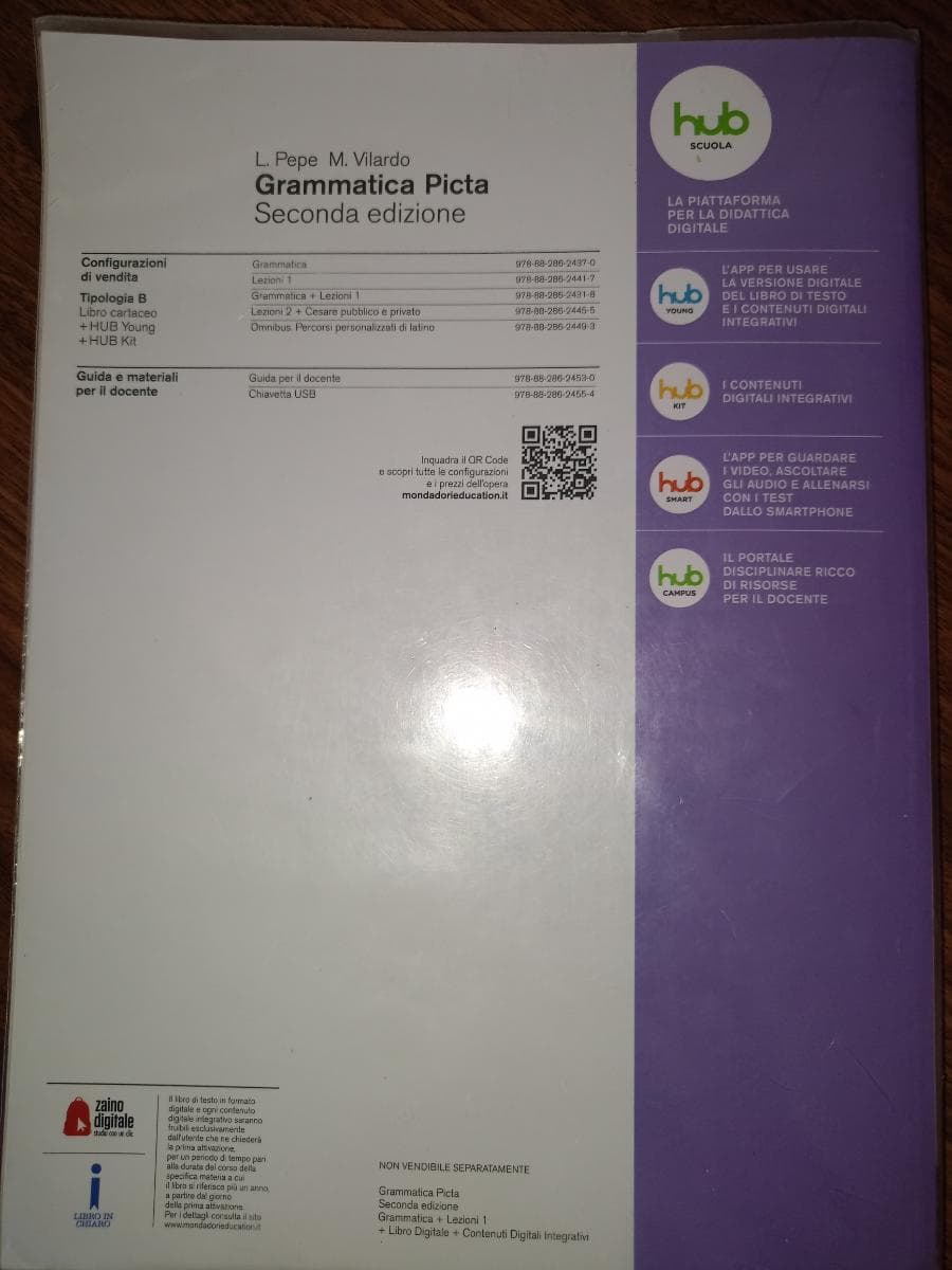 GRAMMATICA PICTA - foto 2
