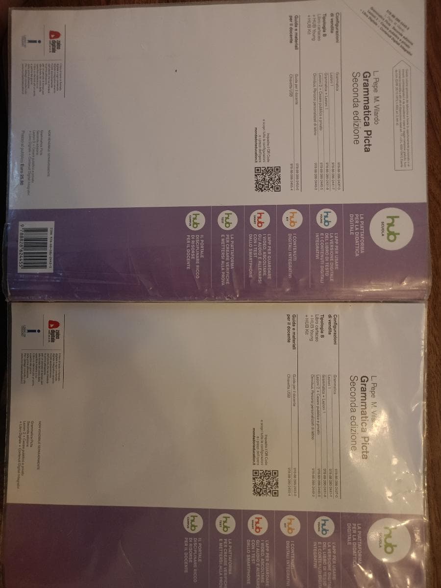 GRAMMATICA PICTA - foto 2