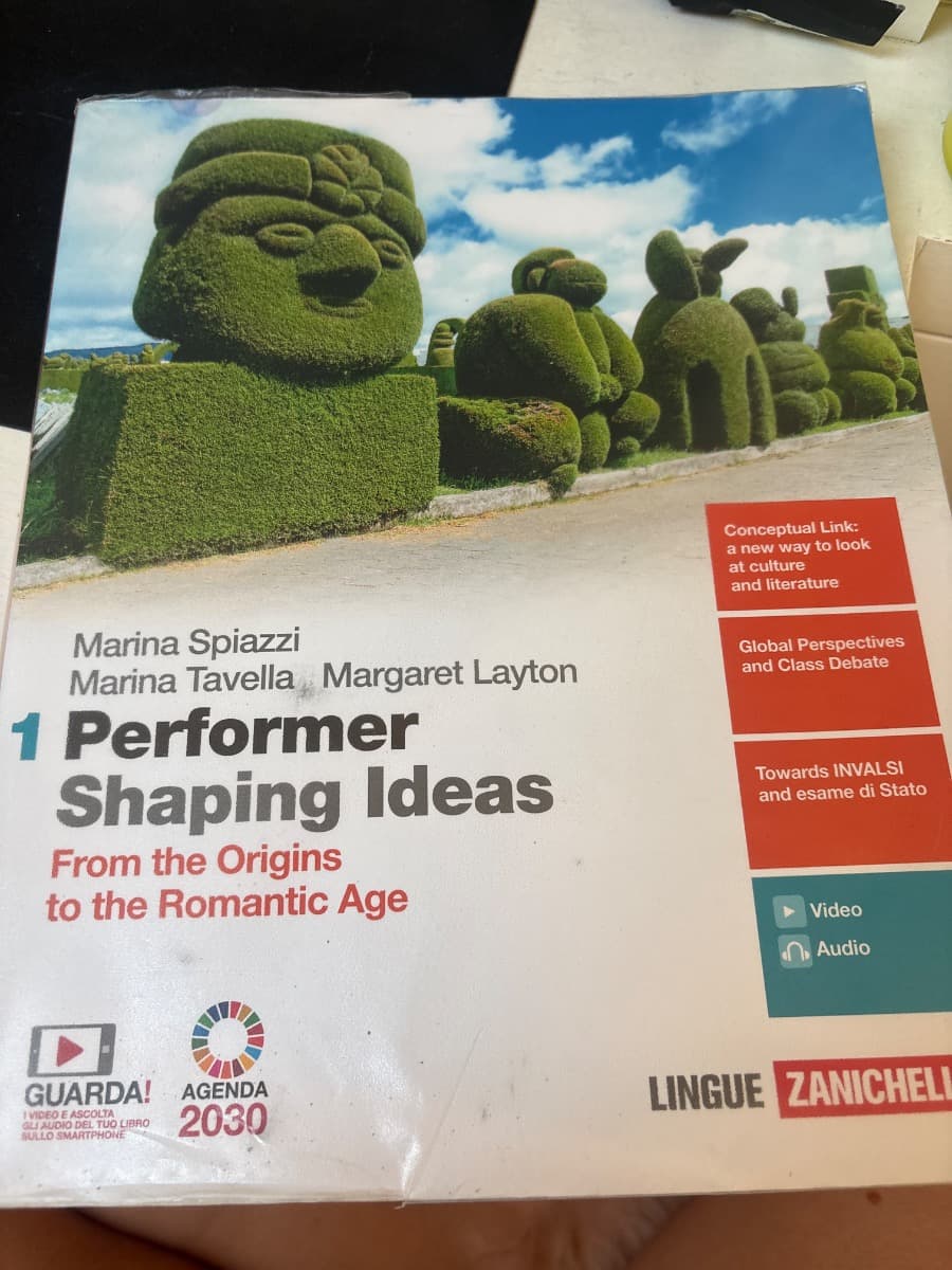 PERFORMER SHAPING IDEAS - VOL. 1 (LDM) - foto 1