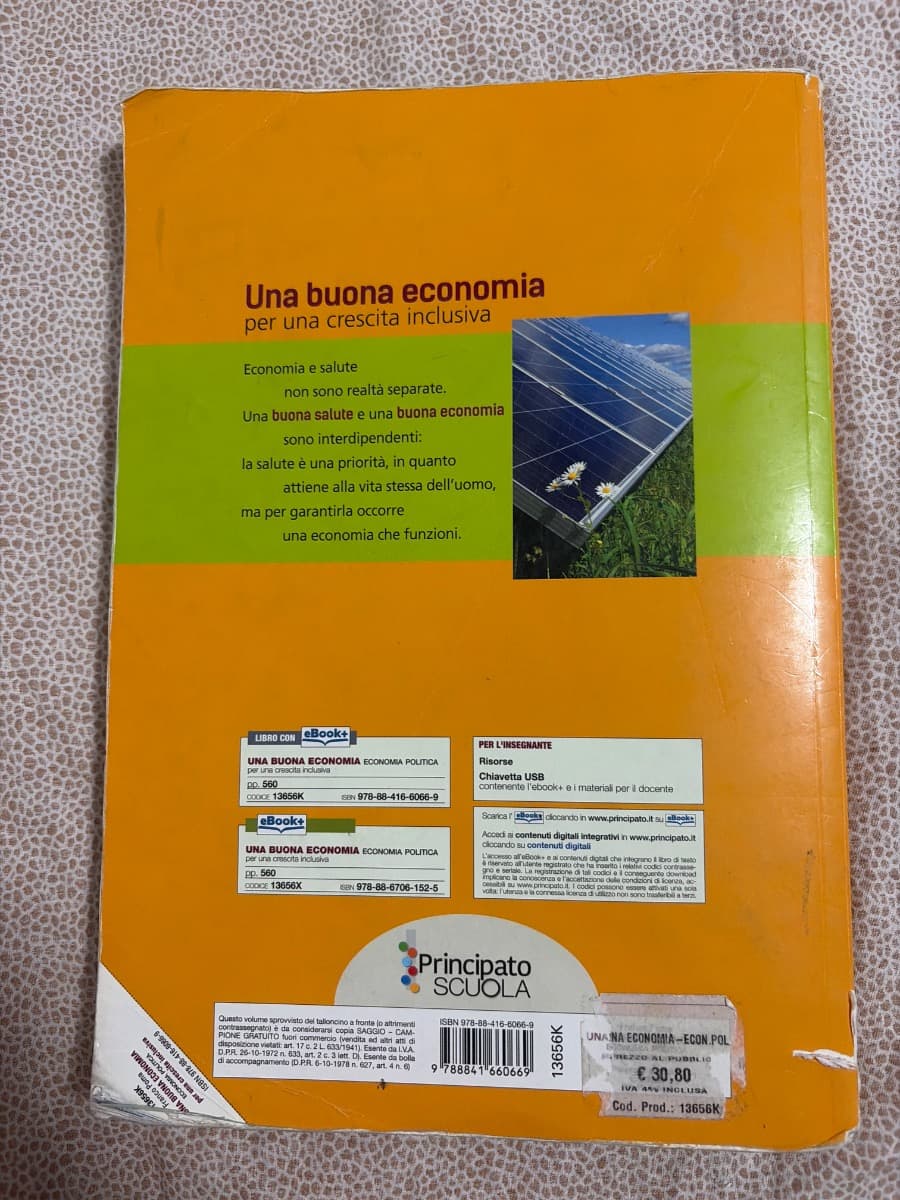UNA BUONA ECONOMIA - ECONOMIA POLITICA - foto 2