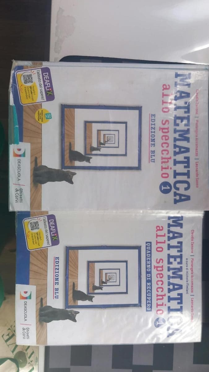 MATEMATICA ALLO SPECCHIO -EDIZIONE BLU -VOL 1 ANNO+QUAD RECUPERO 1 ANNO+EBOOK - foto 1