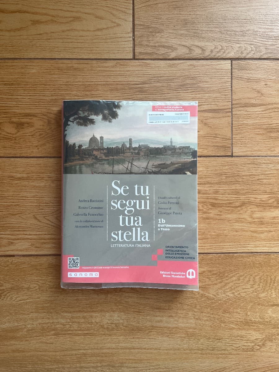 SE TU SEGUI TUA STELLA 1B - foto 1