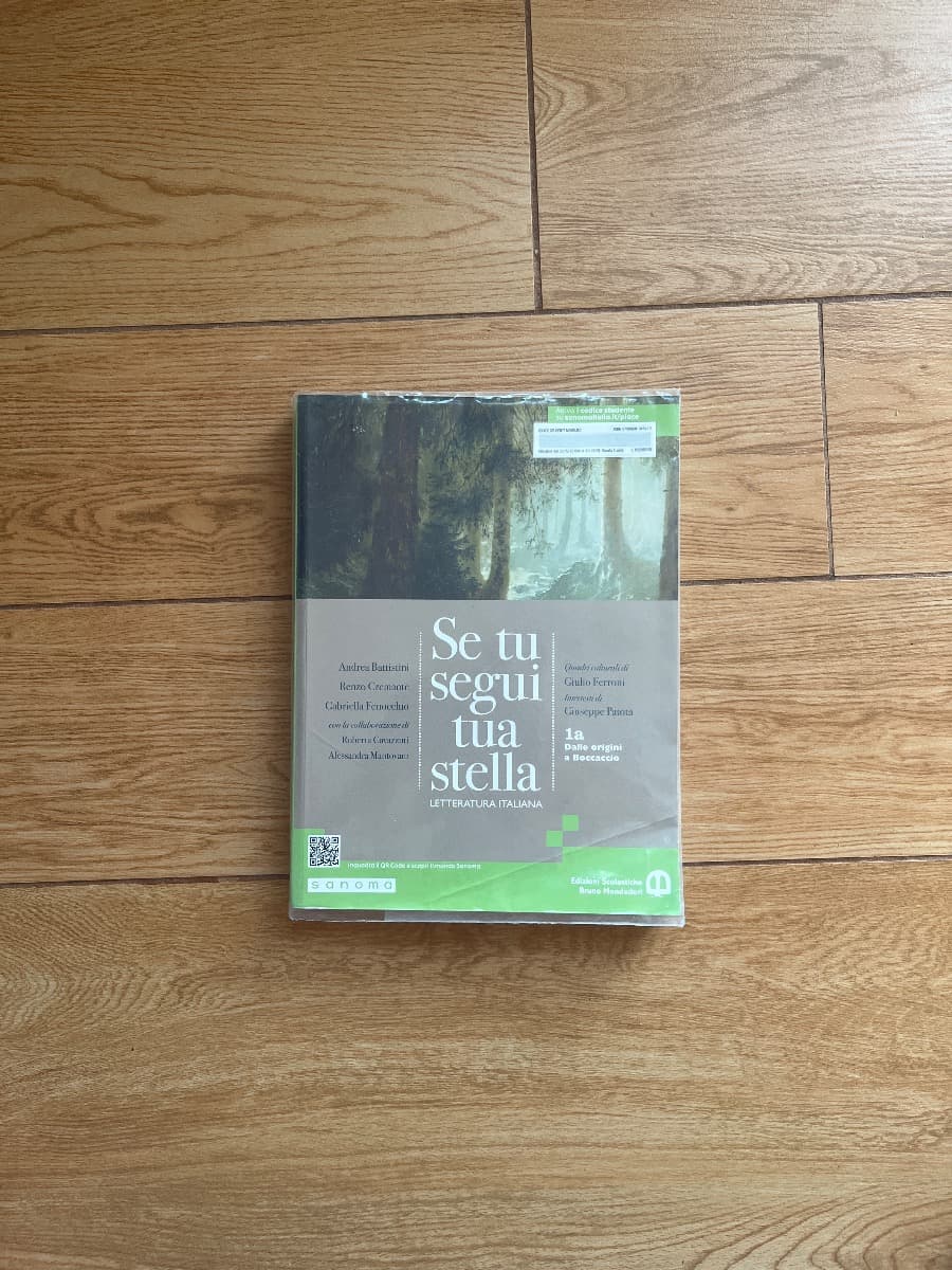 SE TU SEGUI TUA STELLA 1A - foto 1